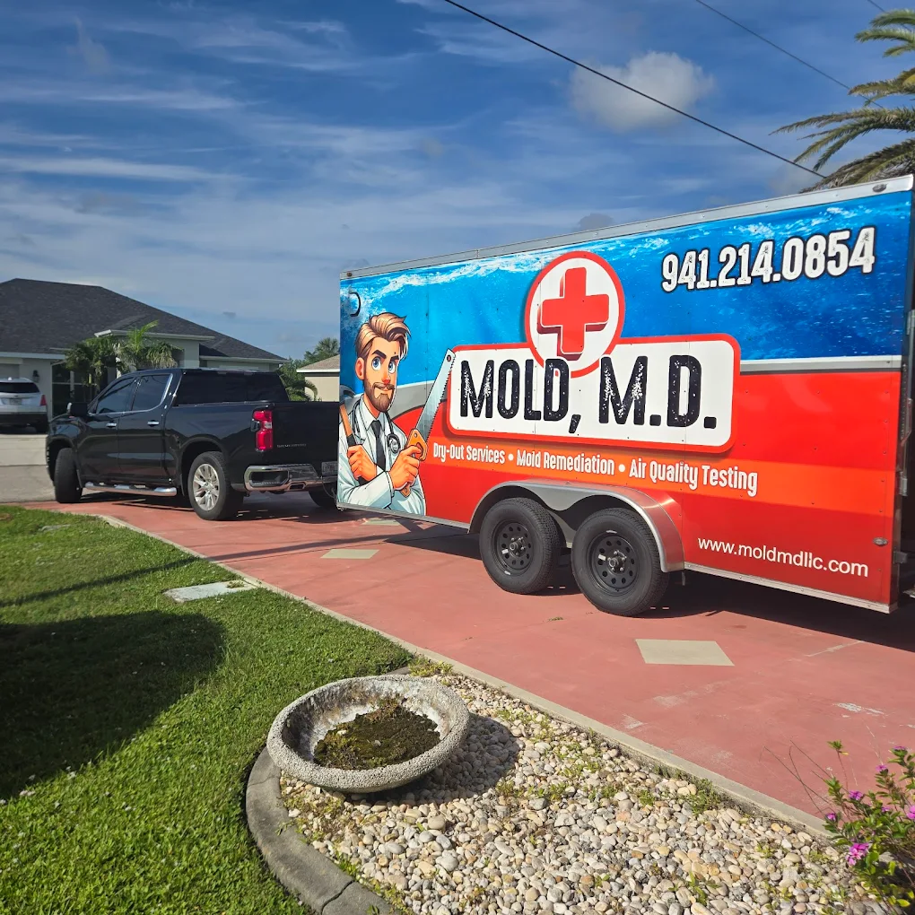 Florida neighborhood homes